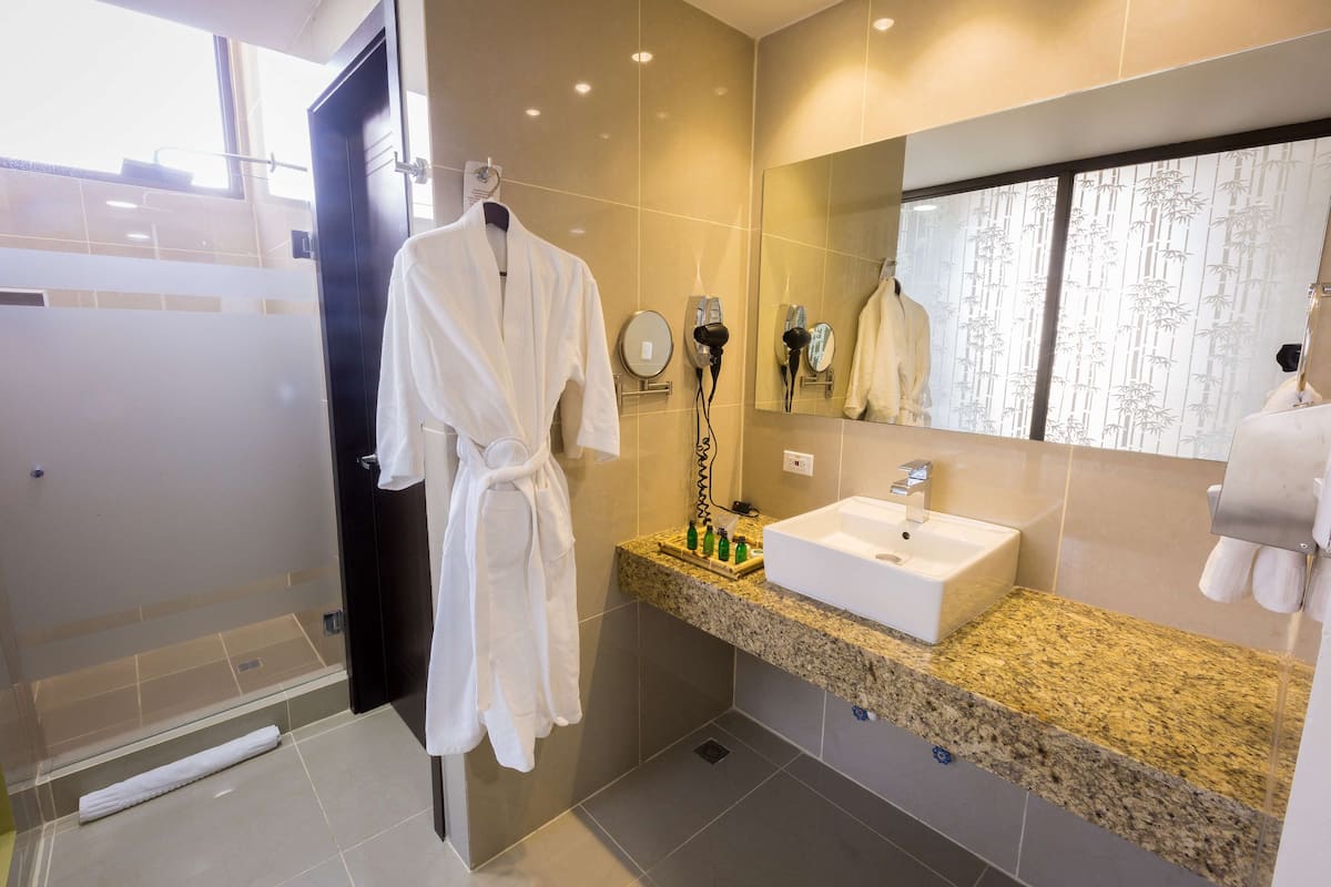 shower, free toiletries, hair dryer, bathrobes