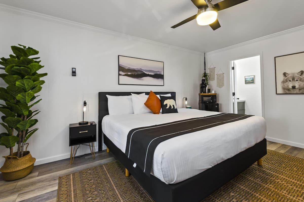 A modern bedroom with a large bed, a bedside table, a potted plant, and a ceiling fan.