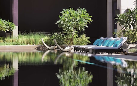 A pool with lounge chairs and a small tree.