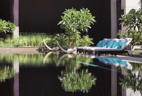 Outdoor pool, sun loungers