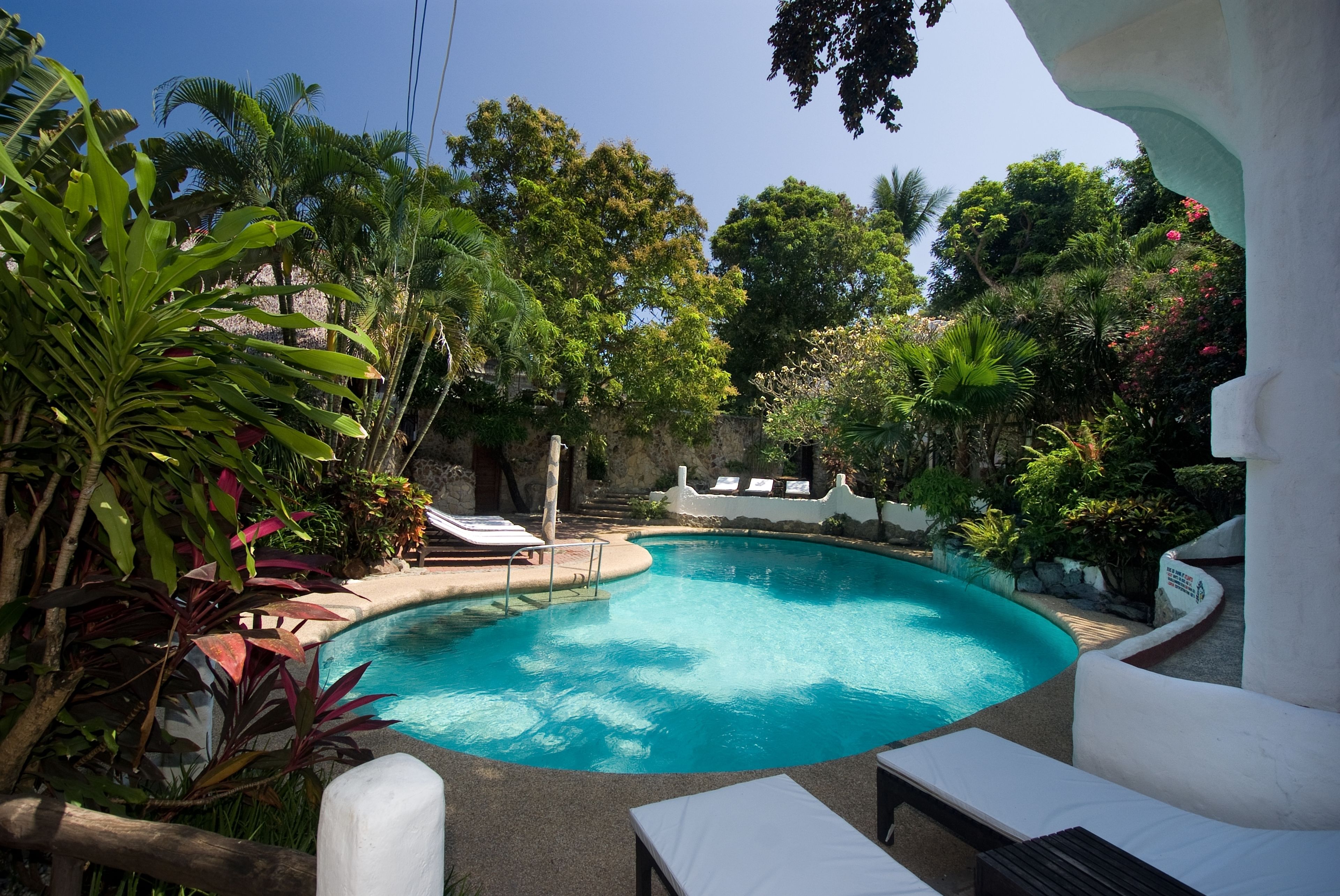 outdoor pool, pool loungers