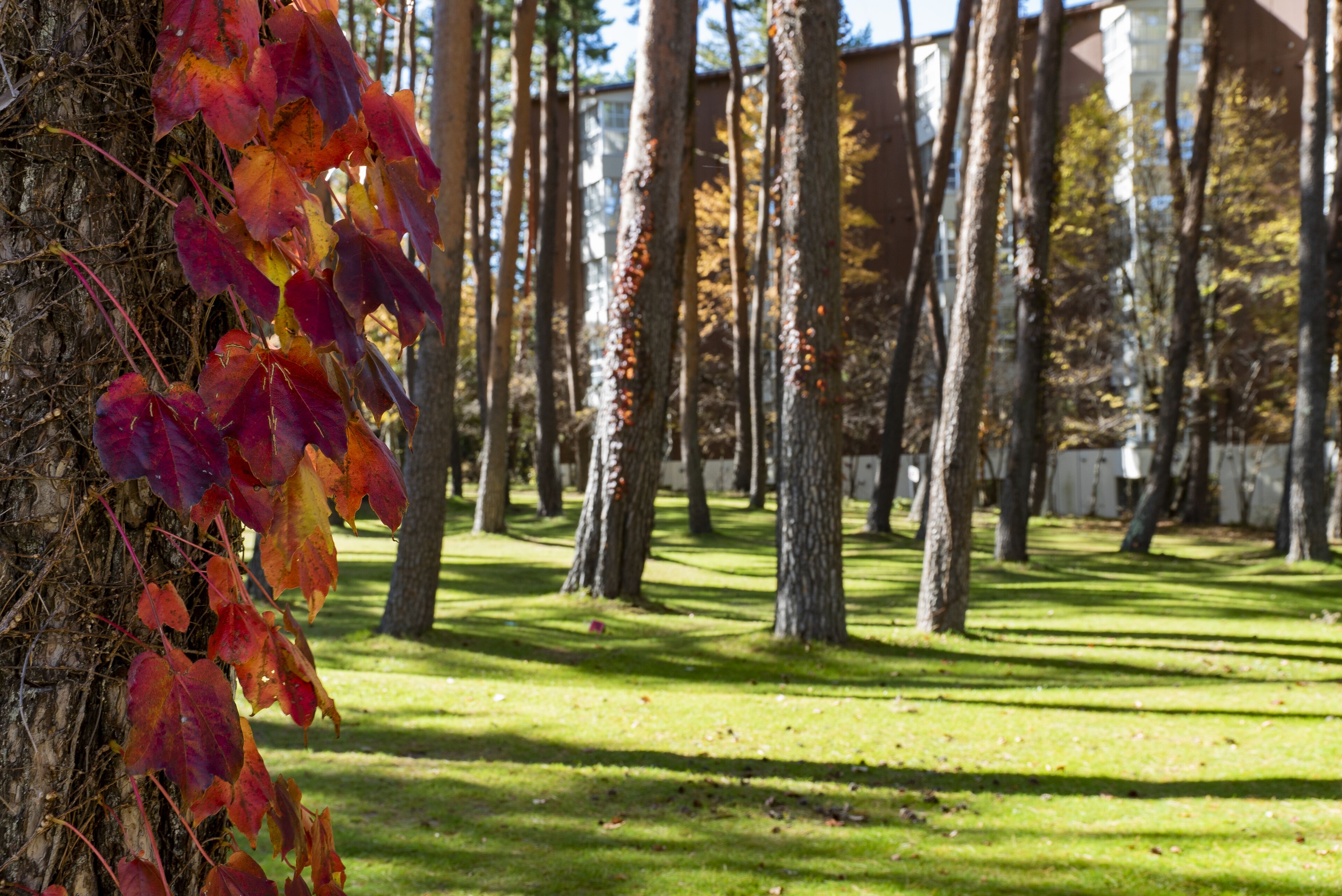 วิวจากห้องพัก