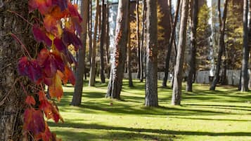 Vistas desde la habitación