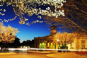 Vista desde la propiedad