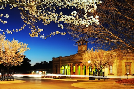 Vista desde la propiedad
