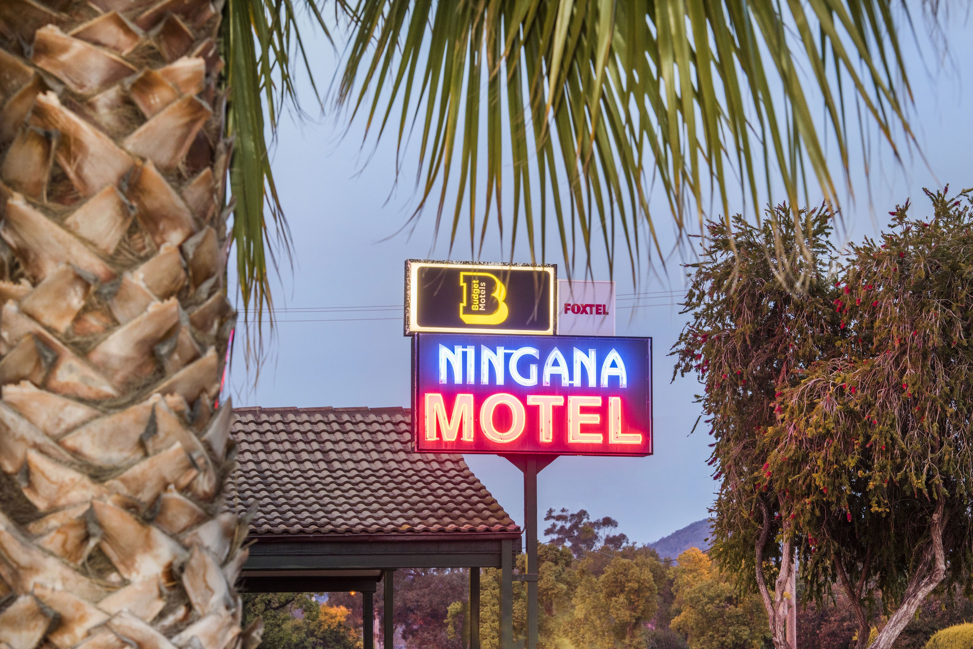 A motel sign with "Ningana Motel" and "Budget Motel" logos, surrounded by palm trees and a clear sky.