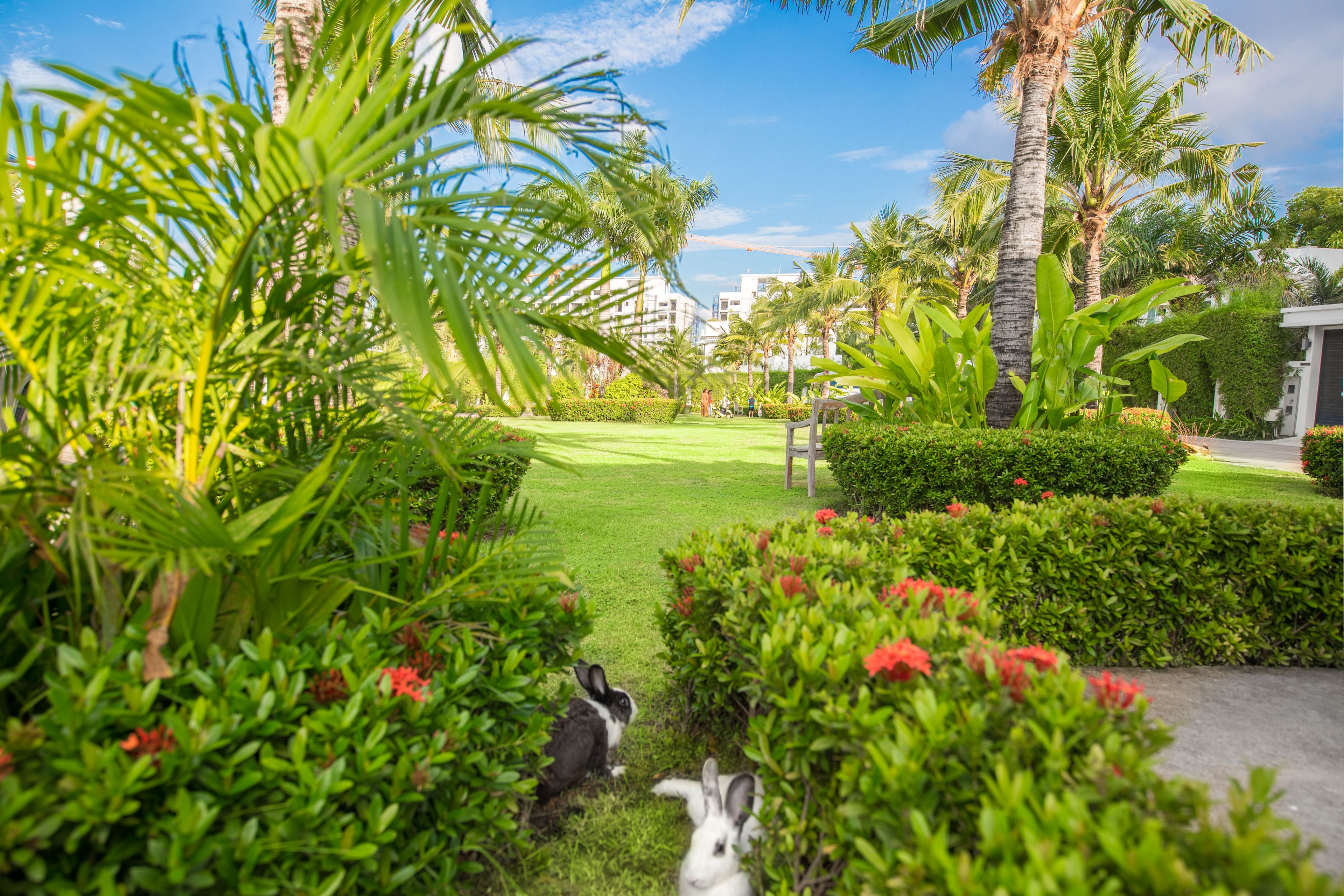 Un rigoglioso giardino con palme e fiori rossi, un vialetto e una panchina.