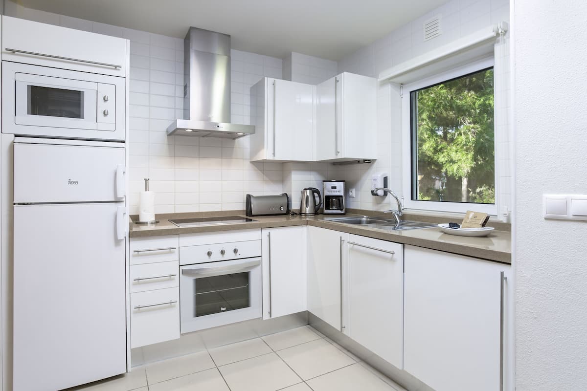 premium apartment, 1 bedroom | private kitchen | fridge, microwave, oven, stovetop