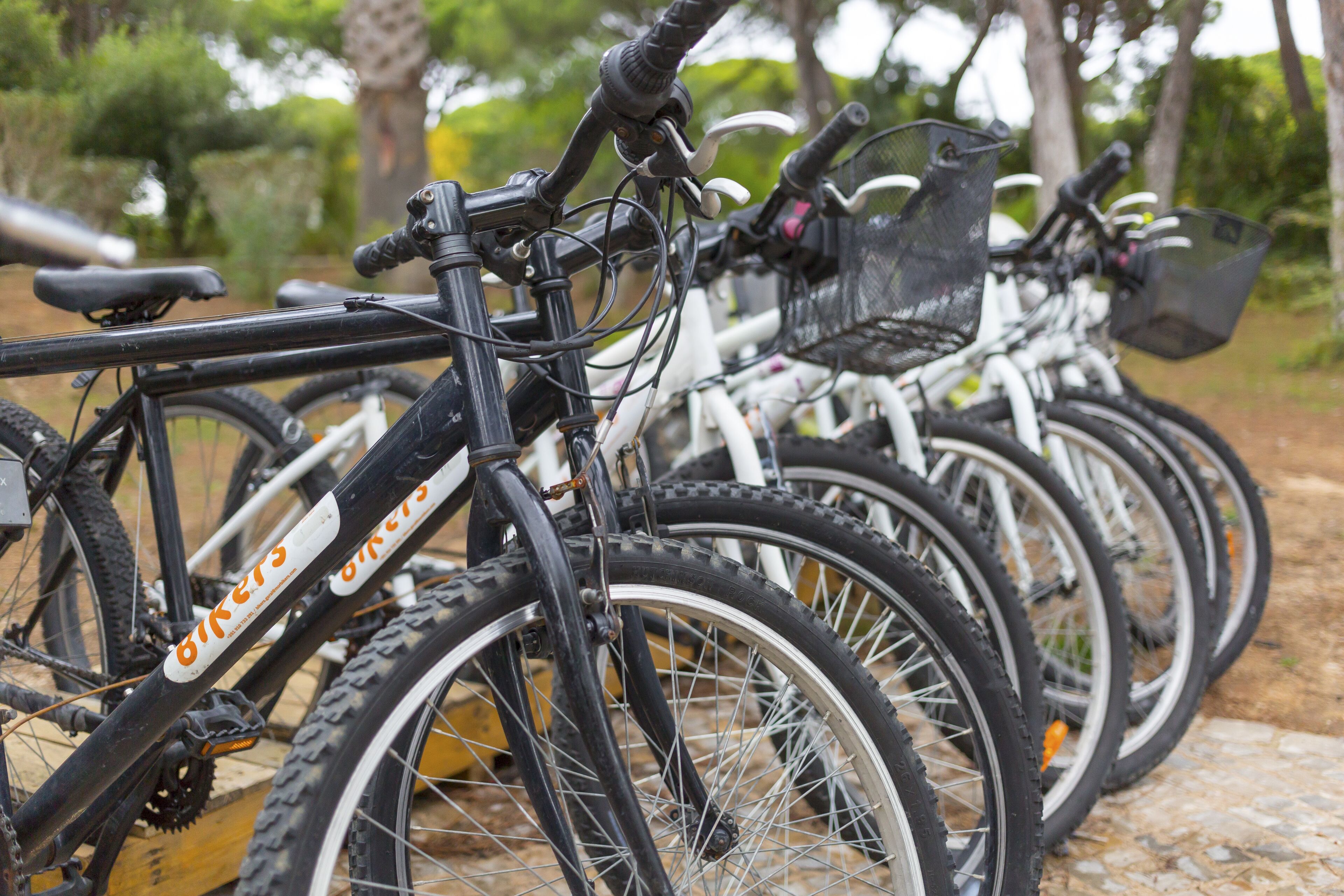 A row of bicycles parked outdoors, with baskets attached to the handlebars.