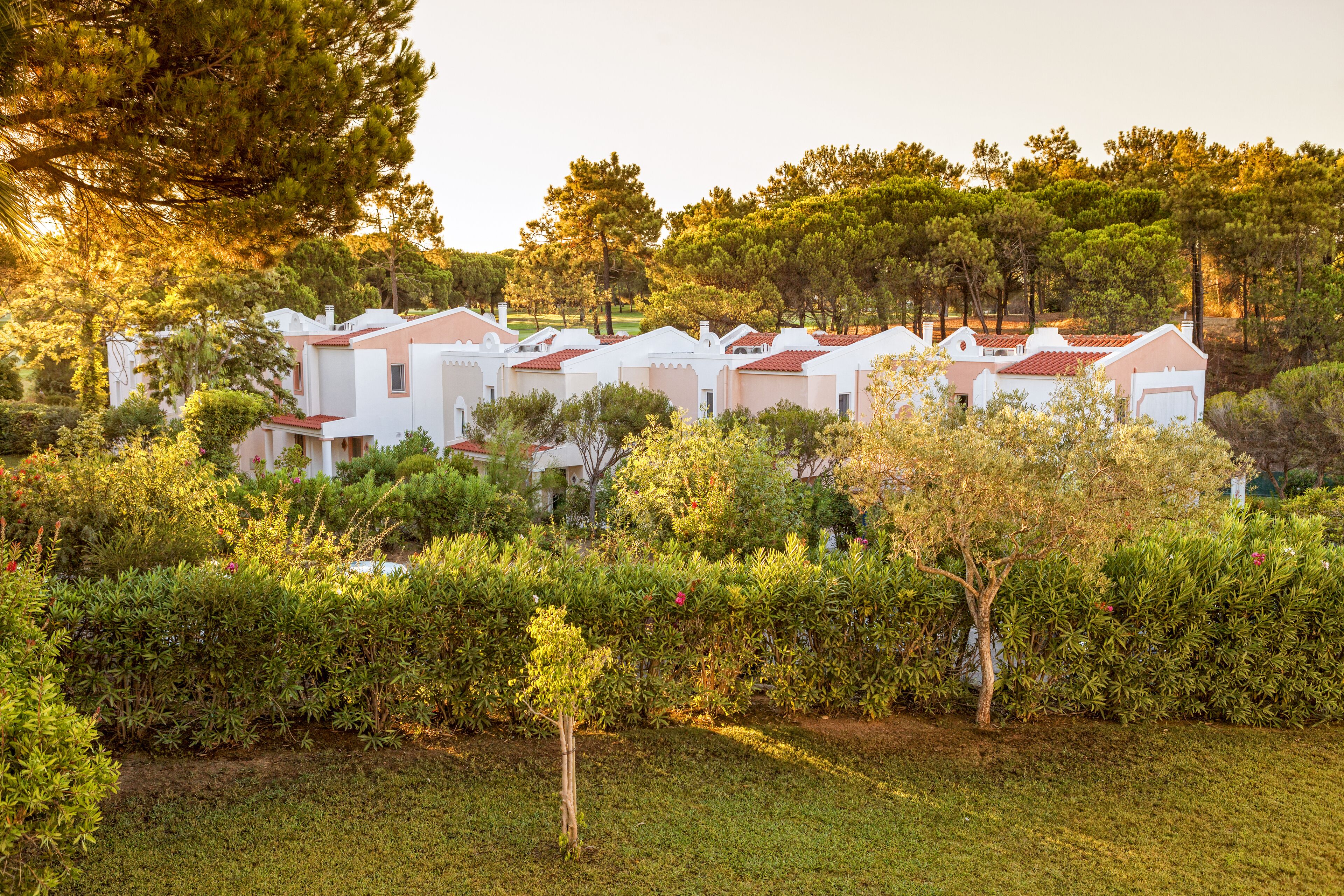 Una hilera de villas blancas con tejados rojos, rodeadas de exuberante vegetación y árboles.