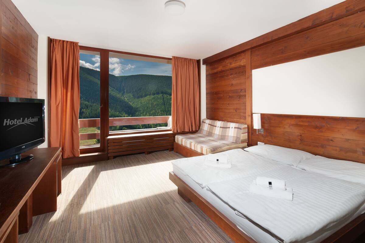 Chambre Double Deluxe (2 extrabeds)
