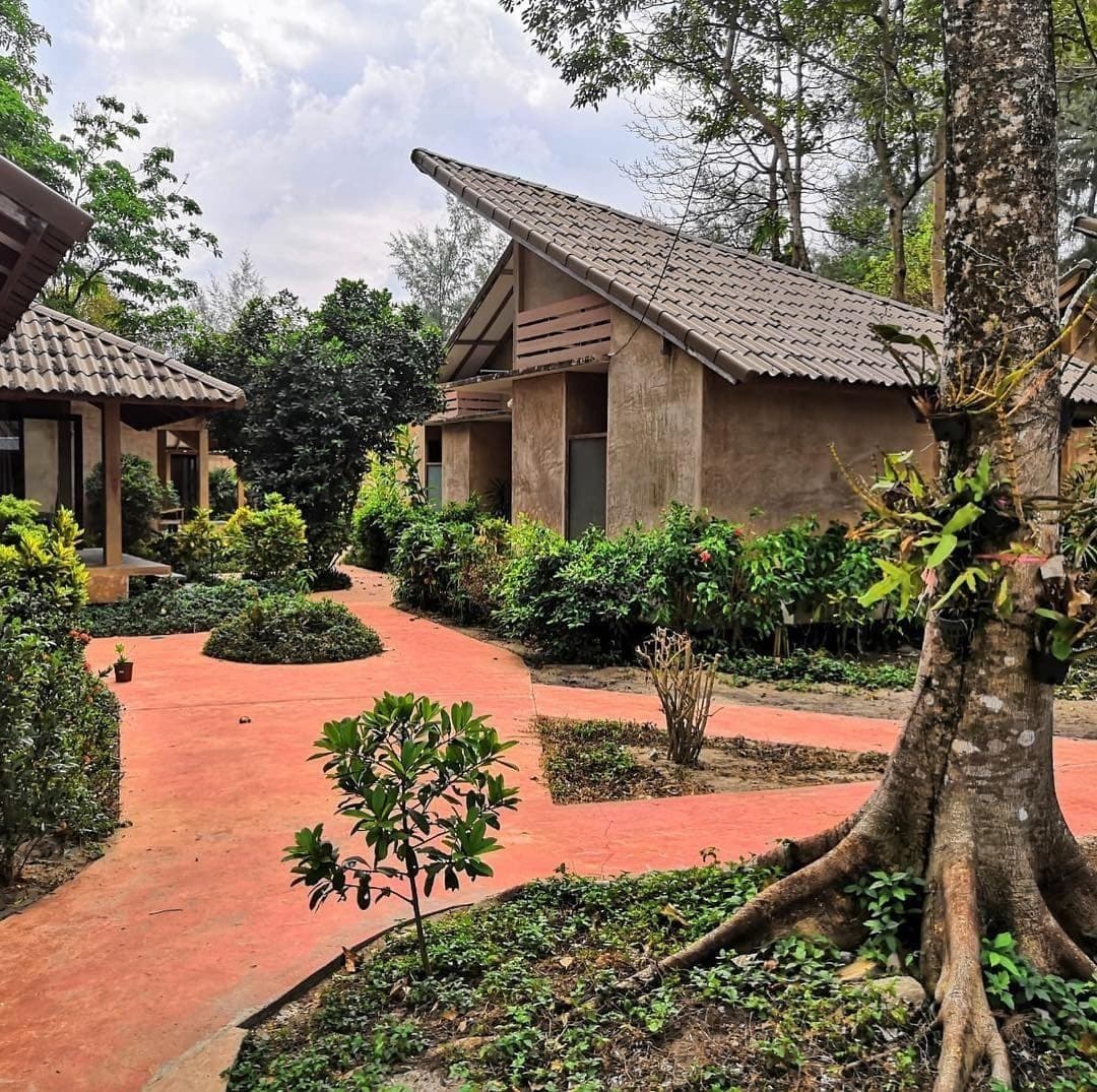 A courtyard with a pathway leading to a building with a sloped roof.