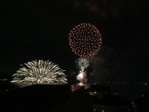 Vista desde la propiedad