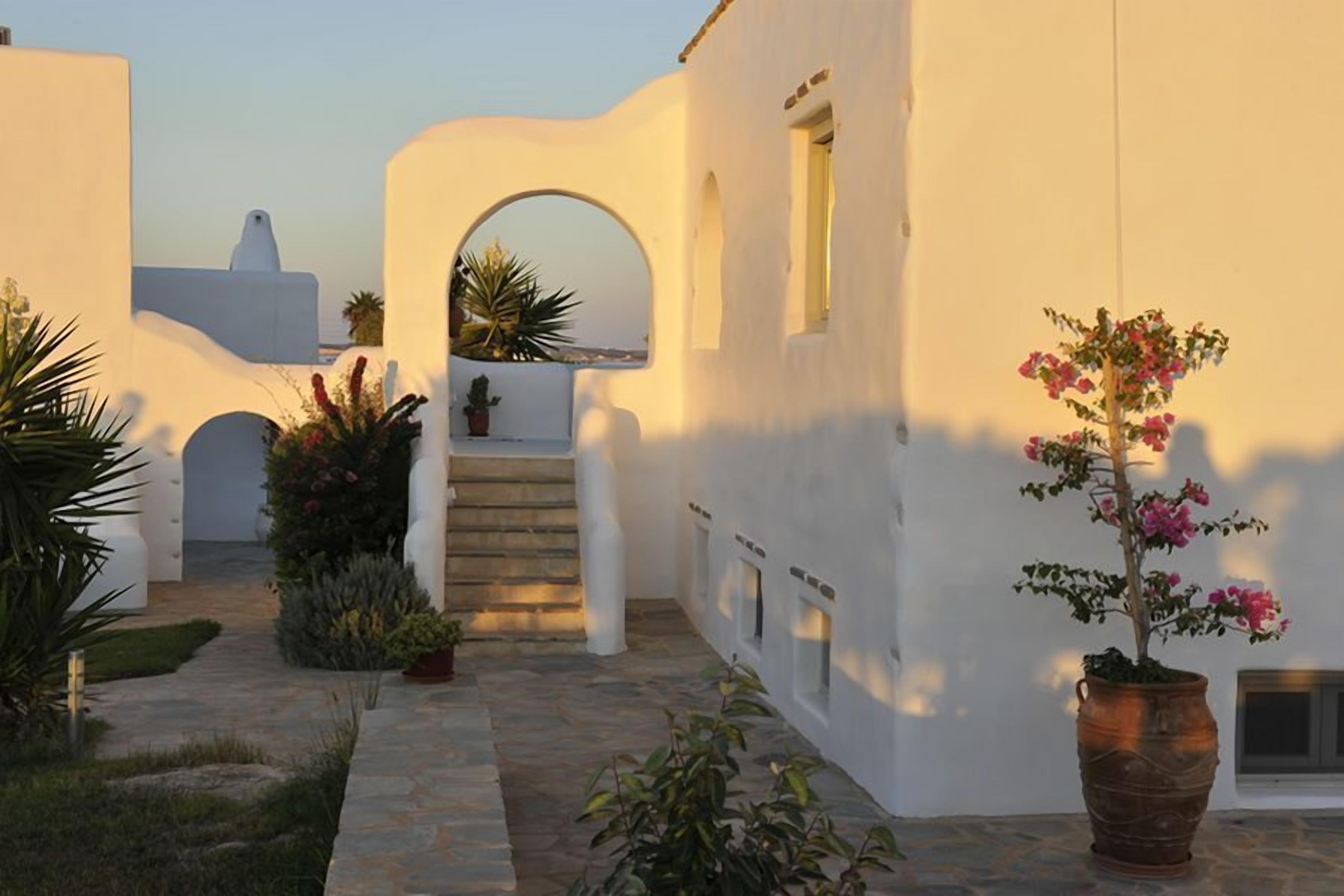 A white-walled building with a stone pathway leading to a staircase, surrounded by potted plants and a large flower pot.