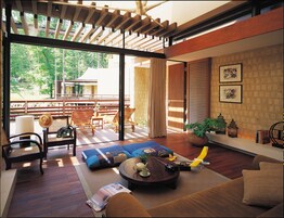 43-英寸纯平电视 （配备数码频道）、乒乓球