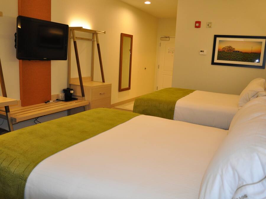 A hotel room with two beds, a desk with a chair, a television, a mirror, and a framed picture on the wall.