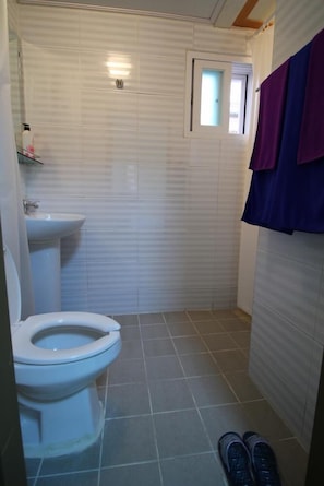 Uma casa de banho pequena com sanita, lavatório e zona de duche.