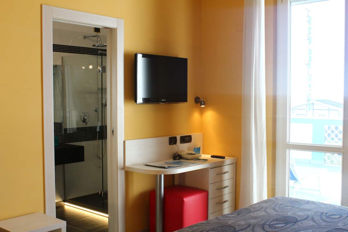 A hotel room with a shower, a desk with a flat-screen TV, a bed, and a window with a view.