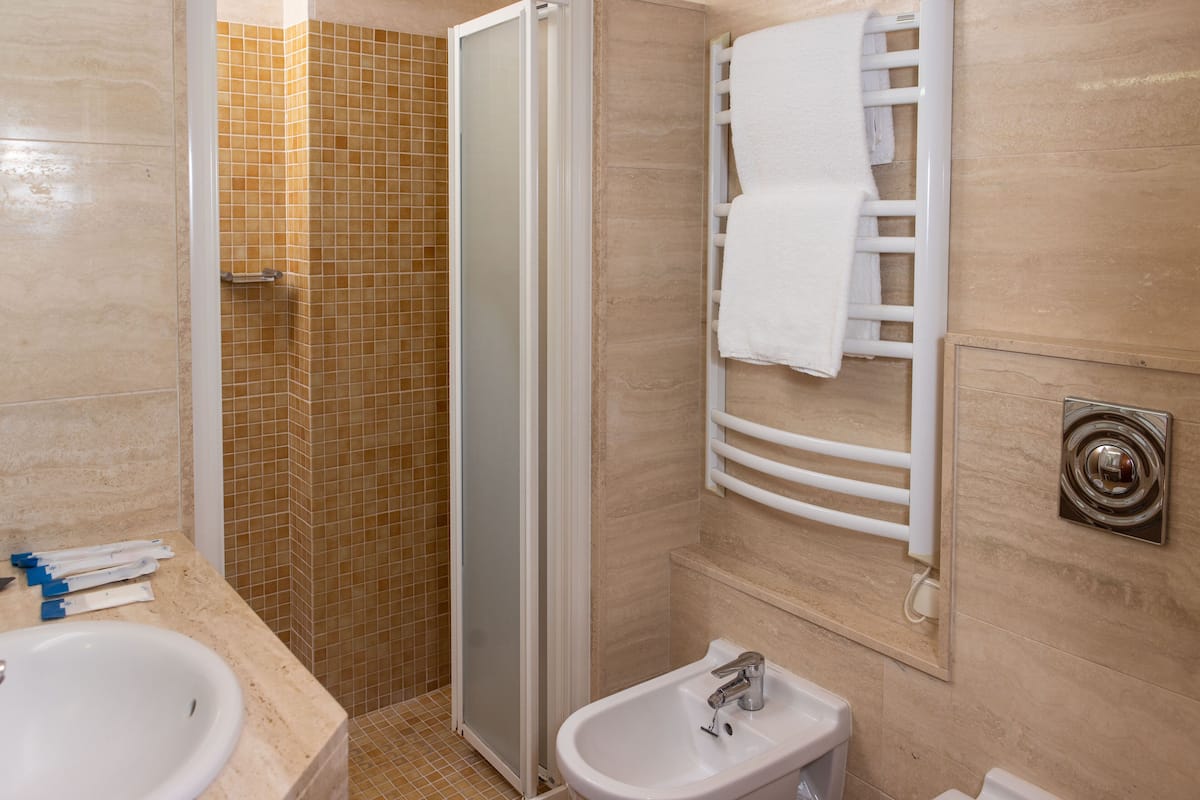 hair dryer, towels, soap, shampoo