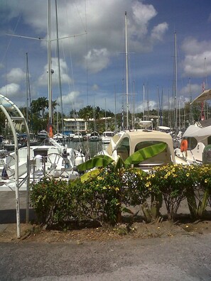 Marina