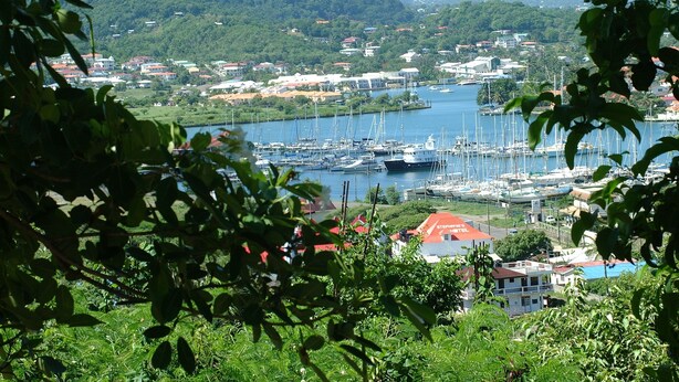 A marina with multiple boats docked, surrounded by lush greenery and residential buildings. - Stephanie's Apartments Ltd (Gros Islet)