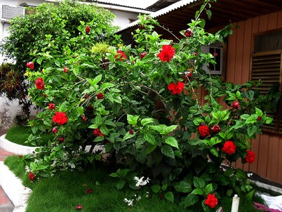 Hotel Castro Galapagos