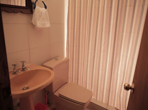 A bathroom with a sink, toilet, and a shower curtain.