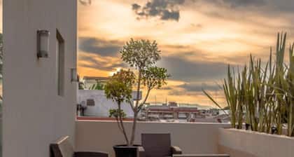 Hotel Zenith