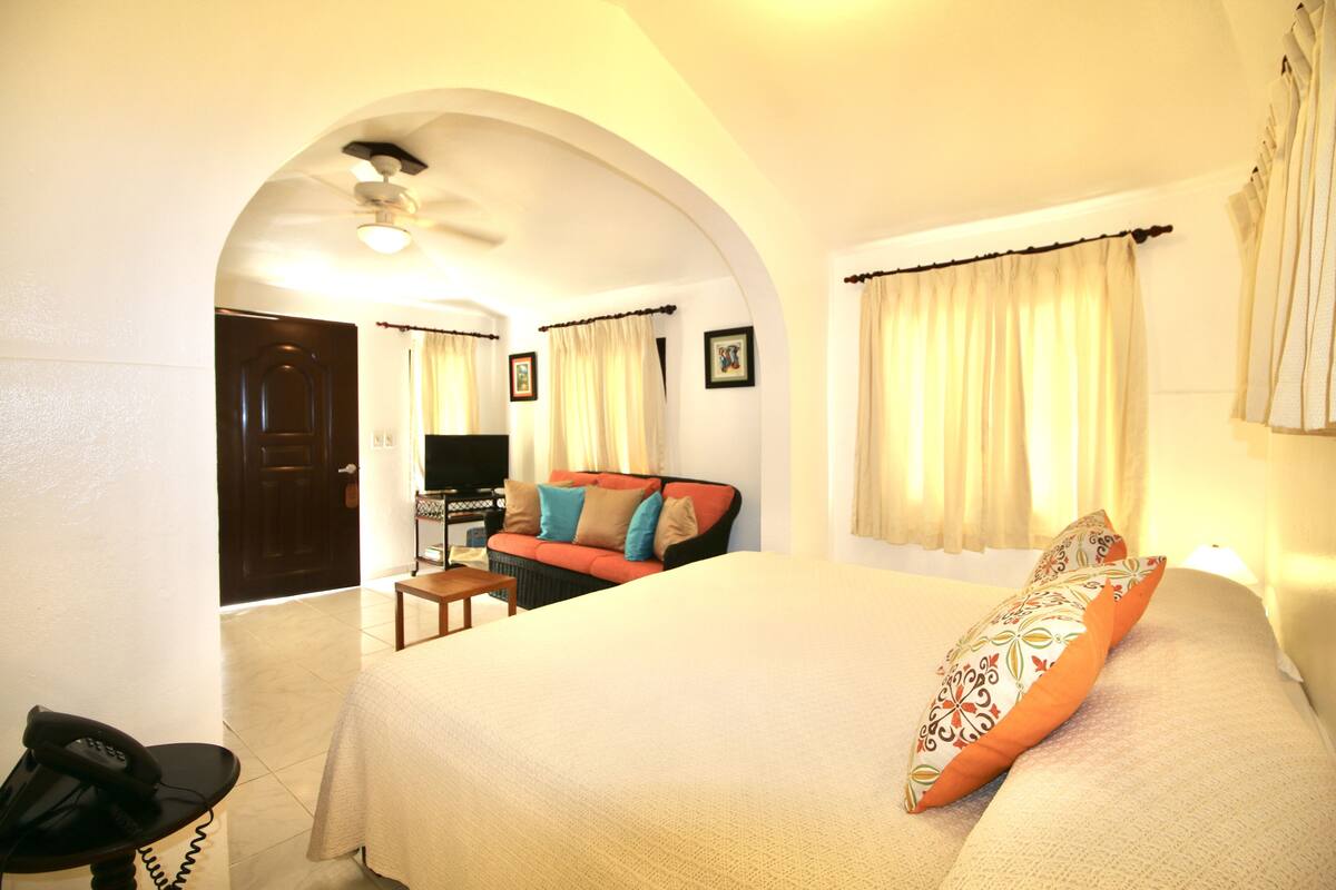 A hotel room with a large bed, a sofa, a television, and a desk with a telephone.