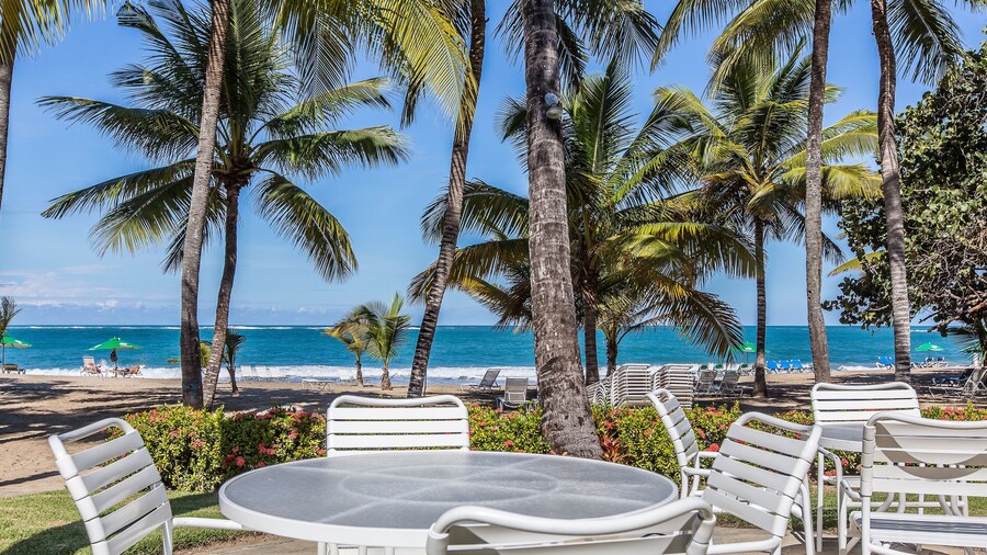 Cabarete Palm Beach Condos