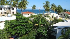 Vista costera con palmeras, una playa y edificios con tejados rojos.