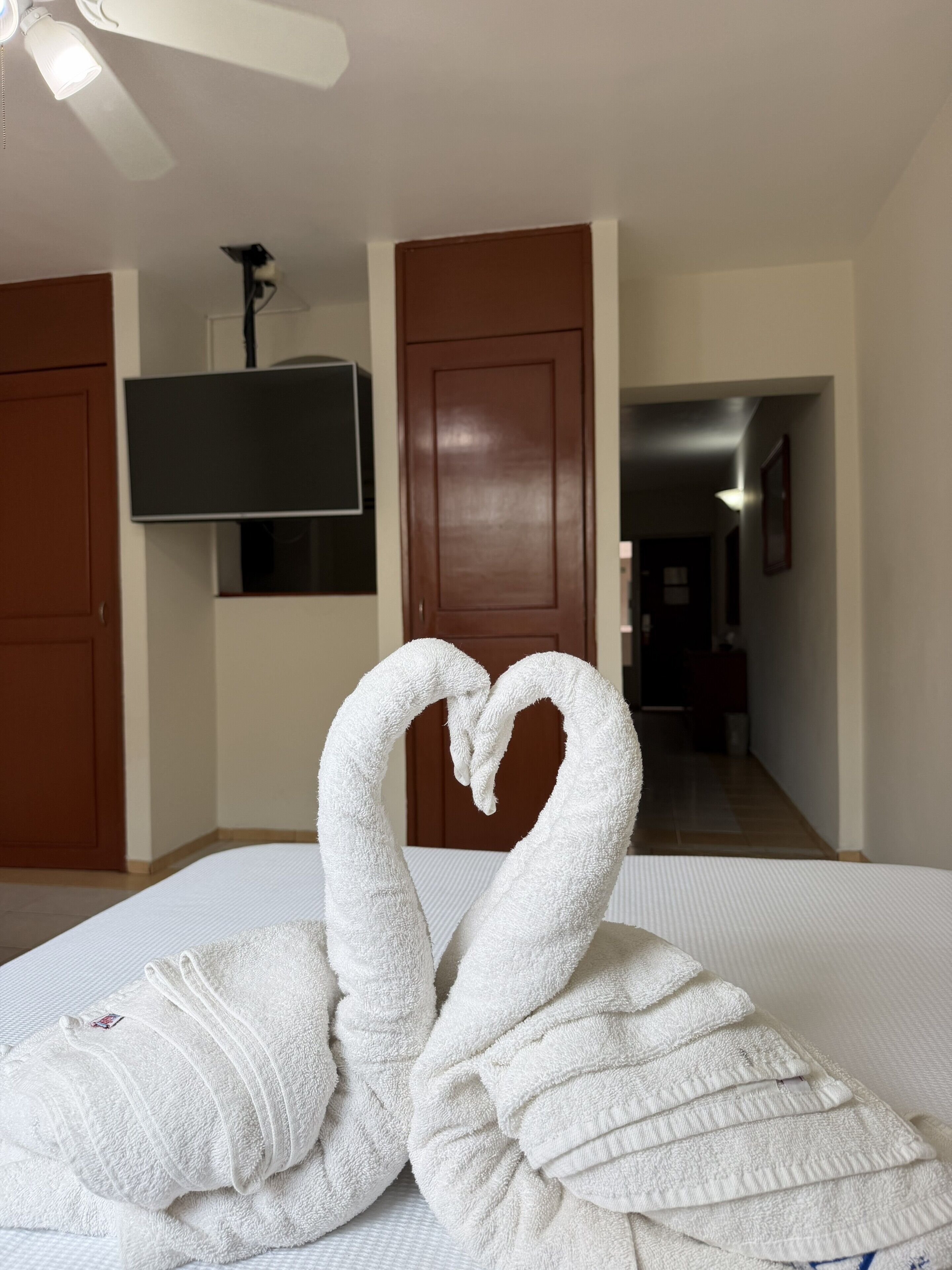Photo - Hotel NV Guadalajara