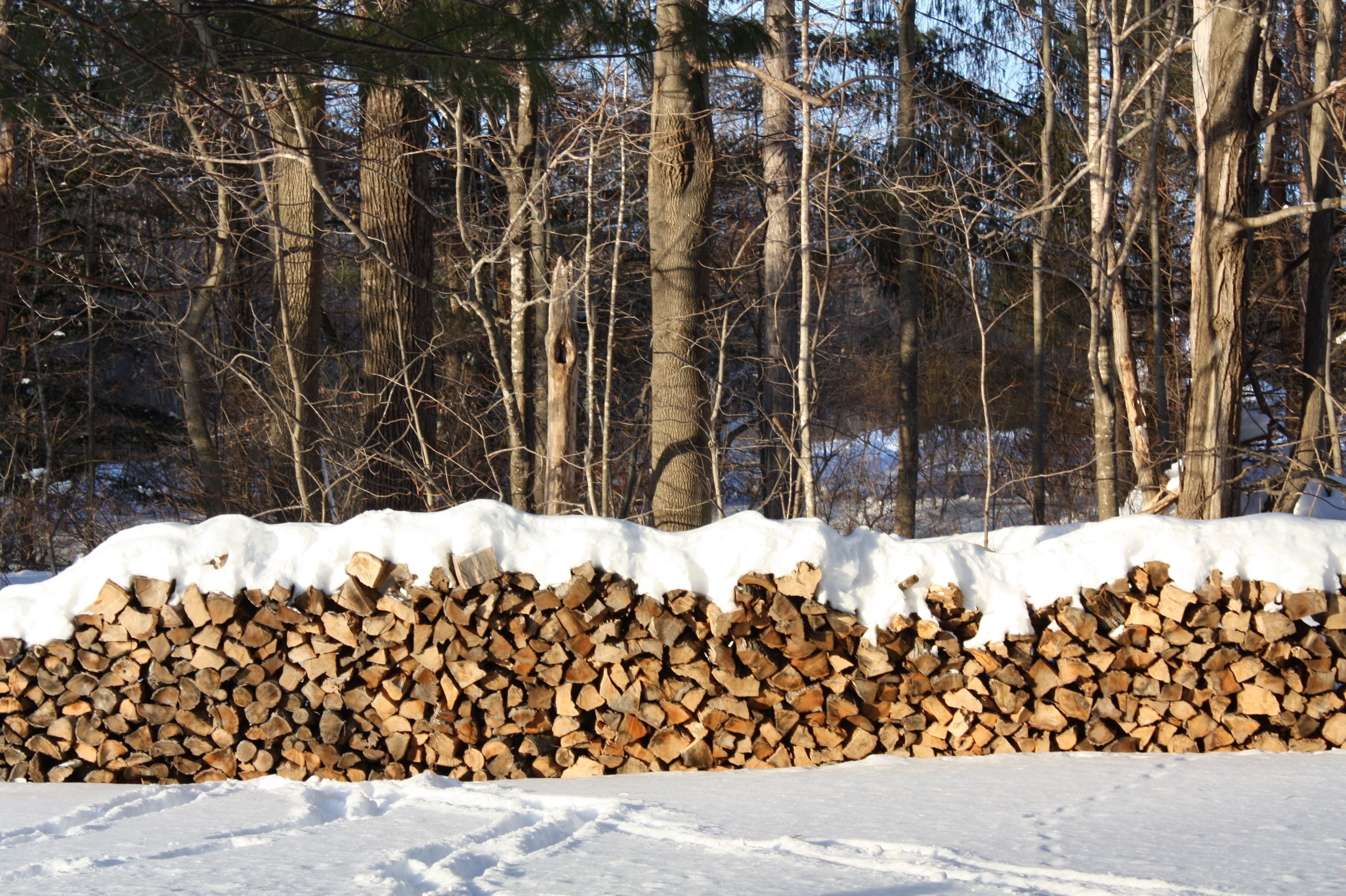 A stack of firewood covered with snow, surrounded by leafless trees in a forest.