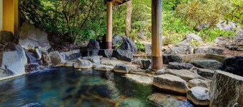 Kamenoi Hotel Aso Park Resort