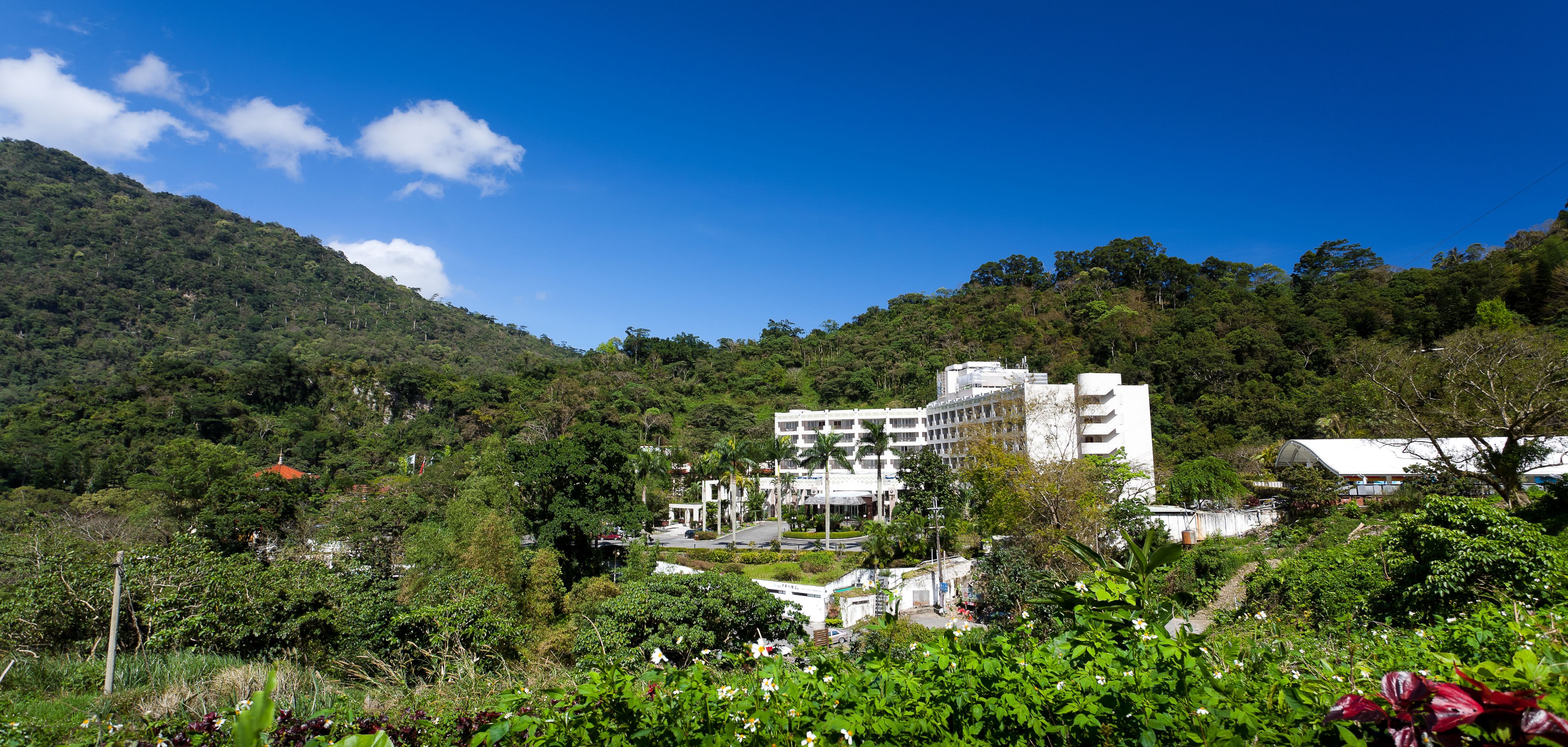 A hotel with multiple floors, surrounded by lush greenery and hills.