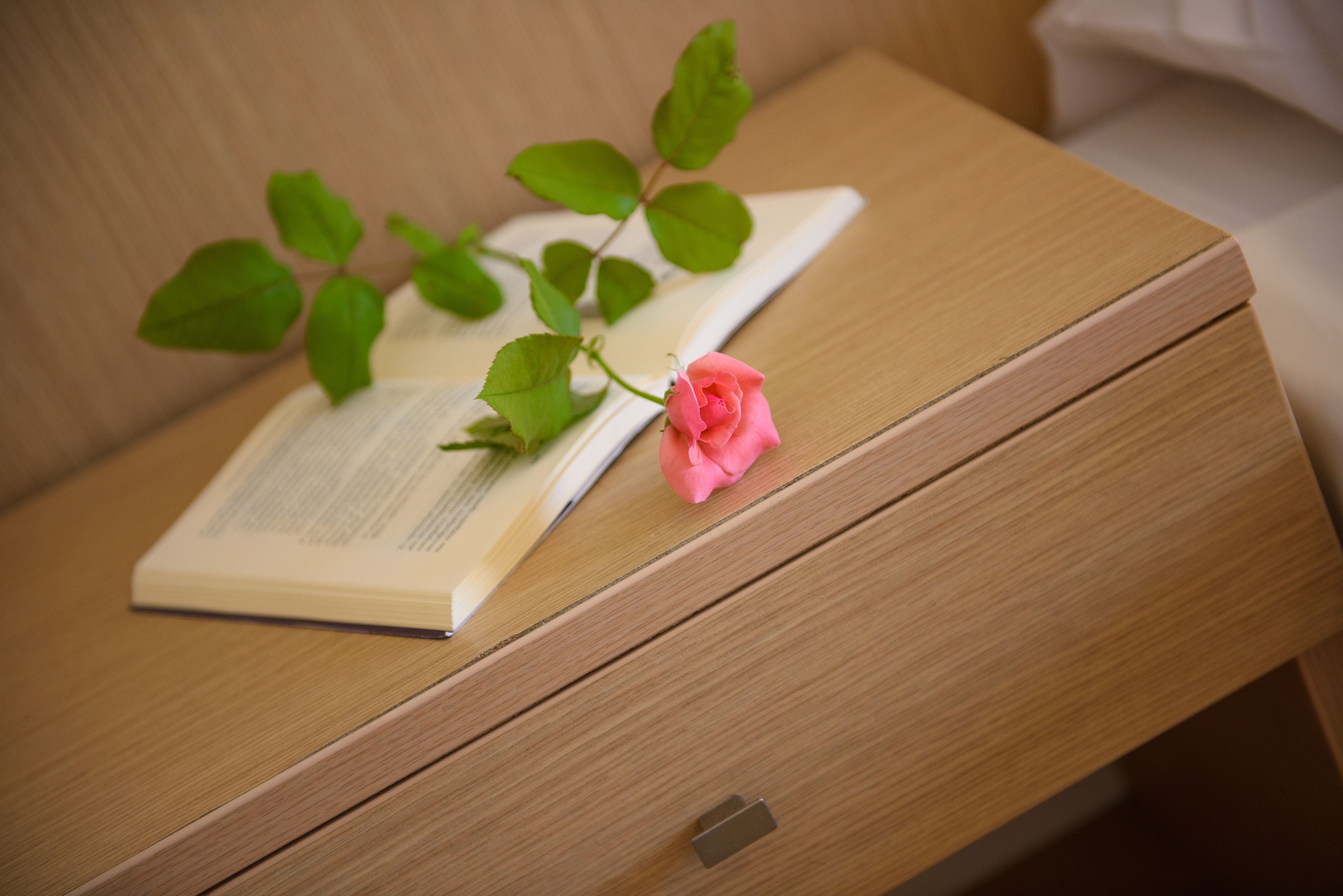 1 bedroom, in-room safe, iron/ironing board, wifi