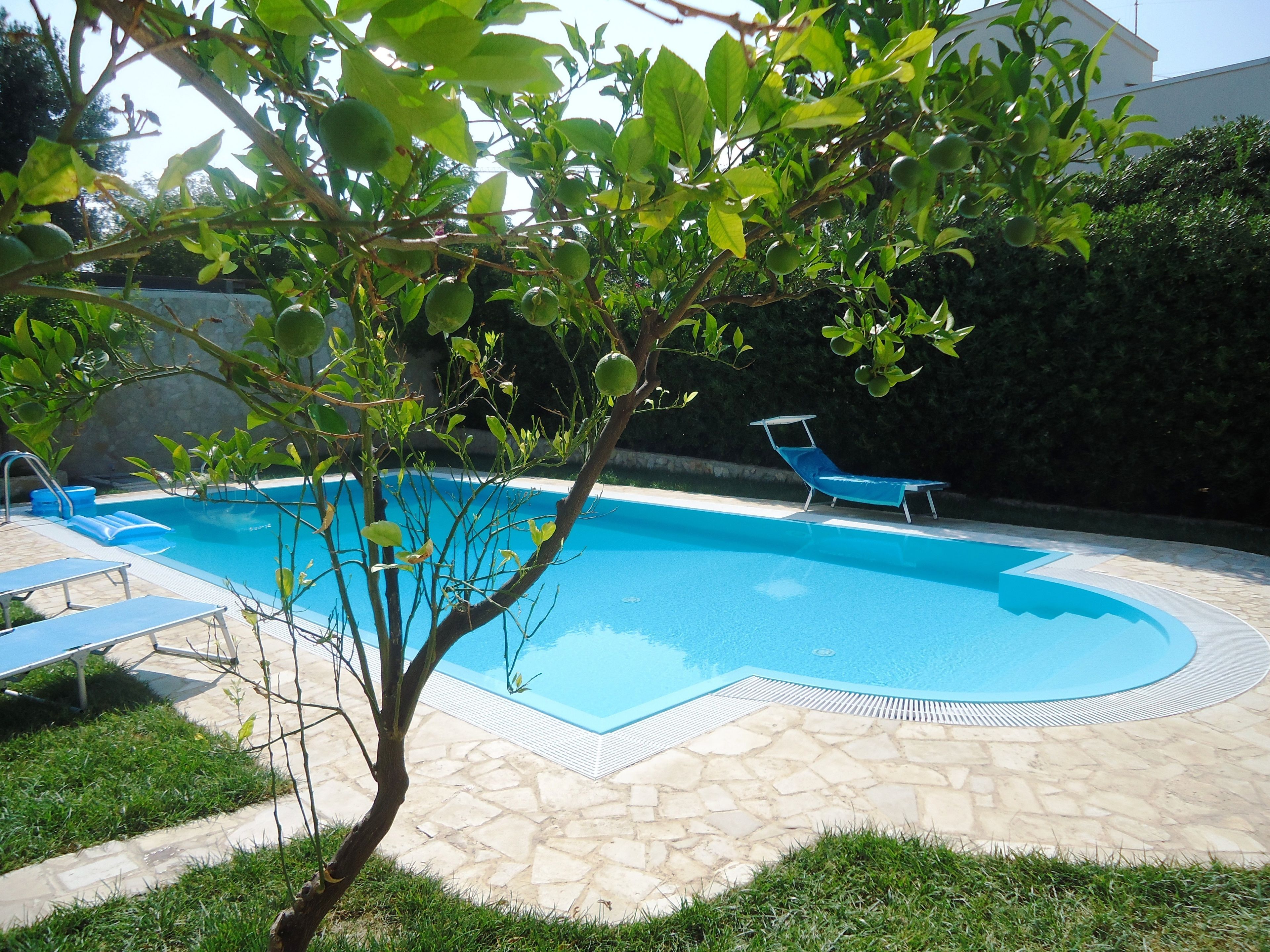 Una piscina con borde de piedra, rodeada de césped y un árbol.