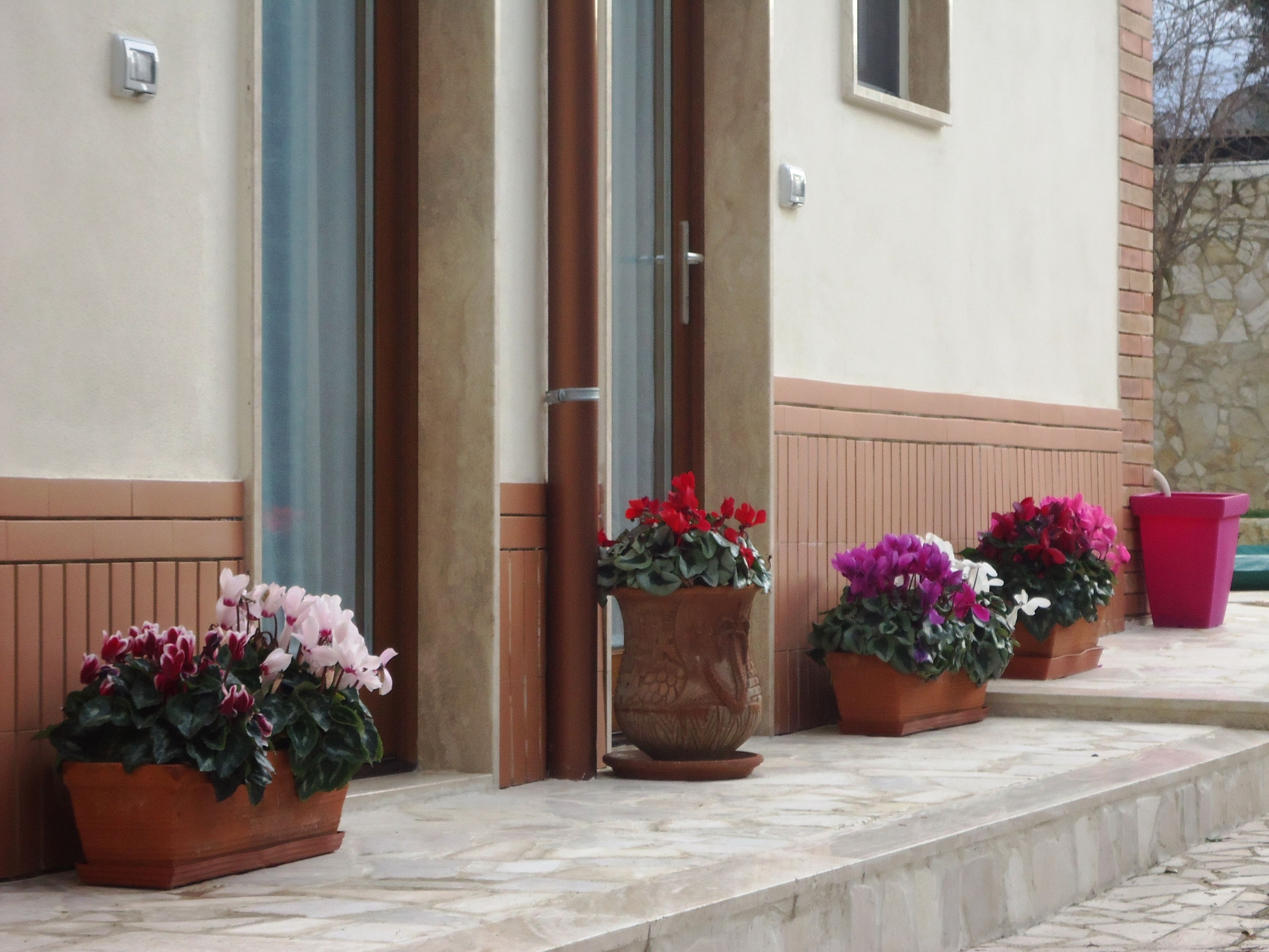 Foto - Villa Dafne