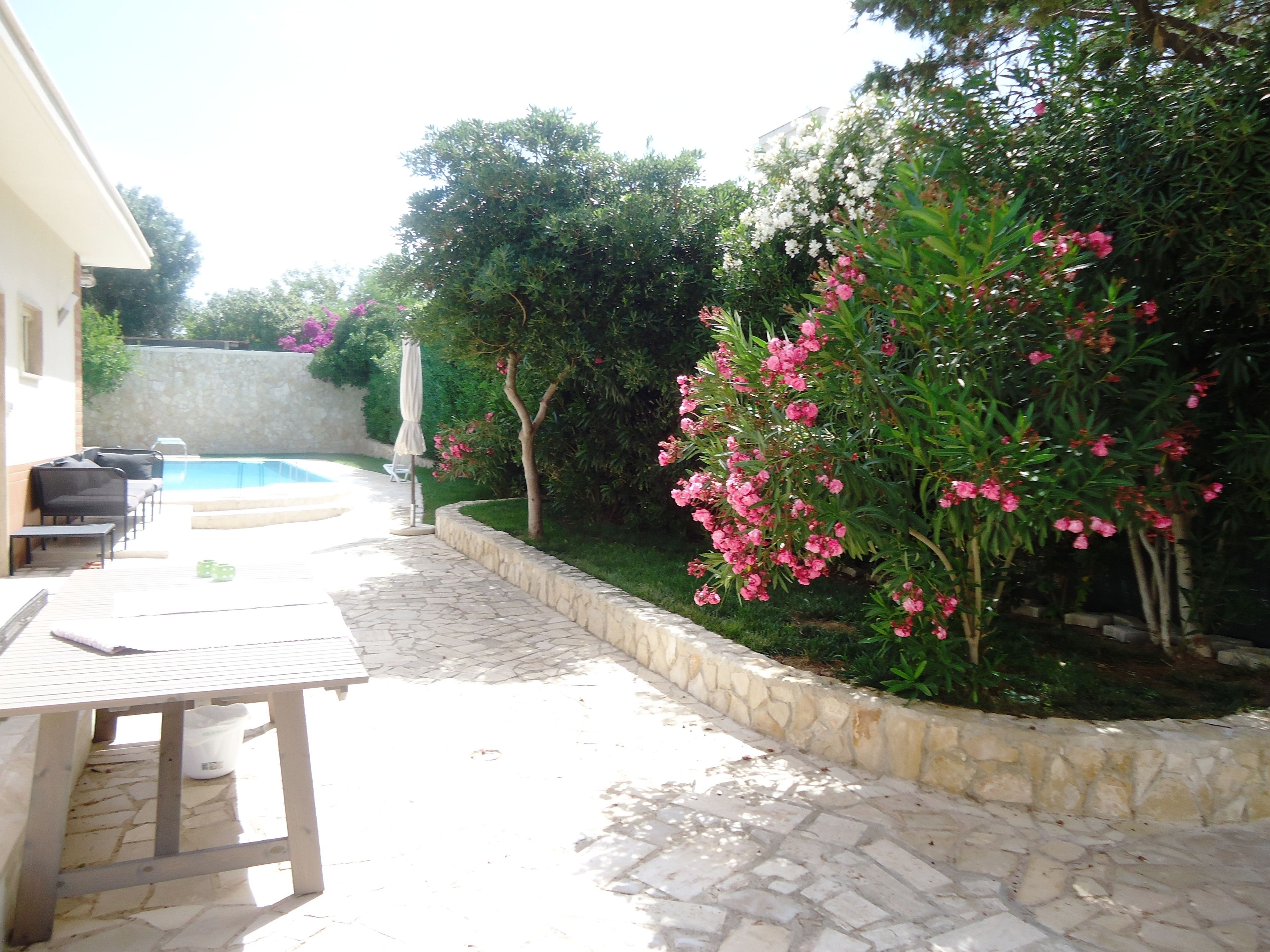 Foto - Villa Dafne