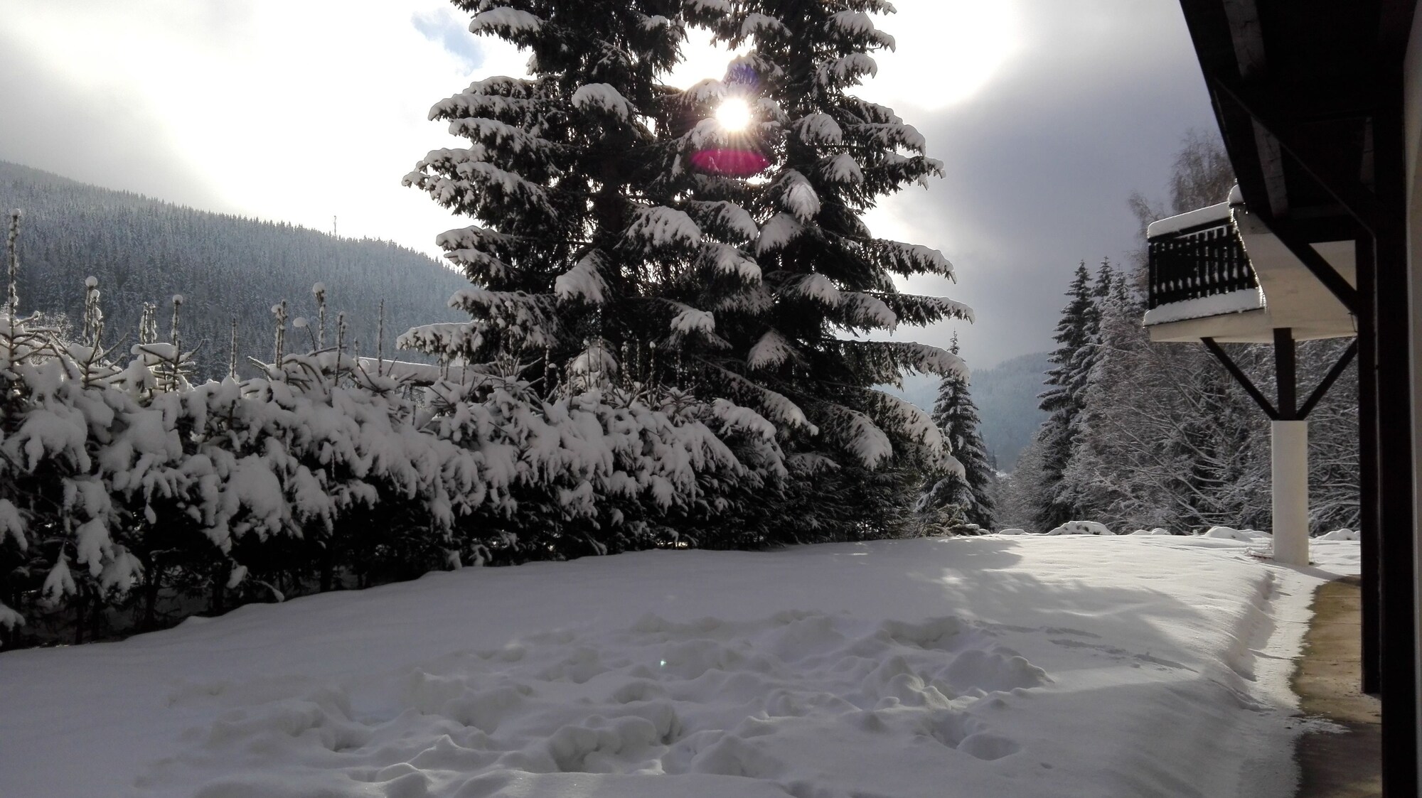 فنادق بتصنيف نجوم (2)