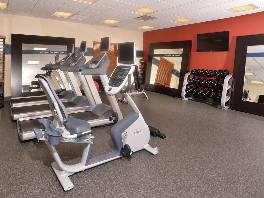 A gym with treadmills, ellipticals, and a rack of dumbbells.
