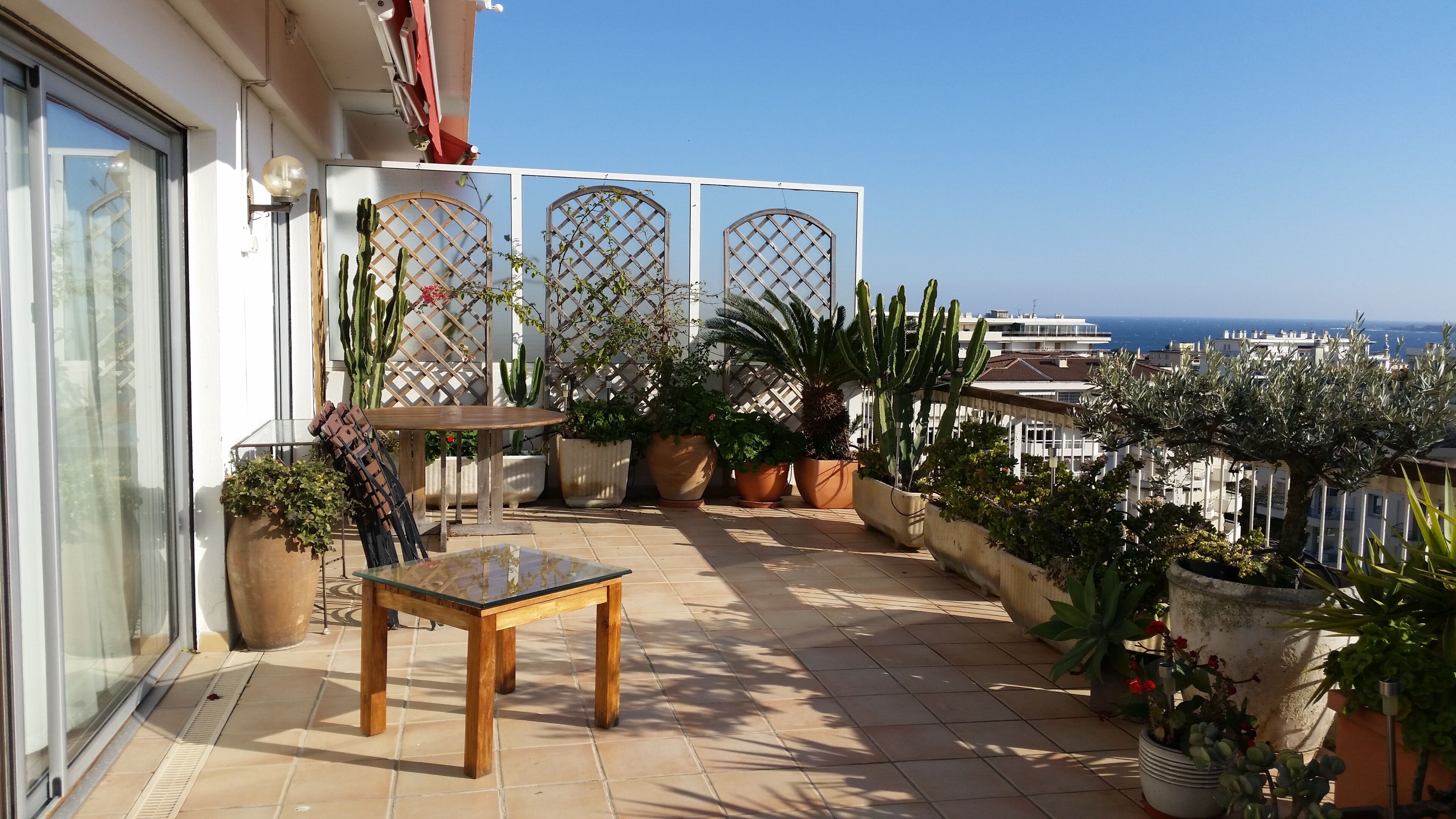 Terraza o patio