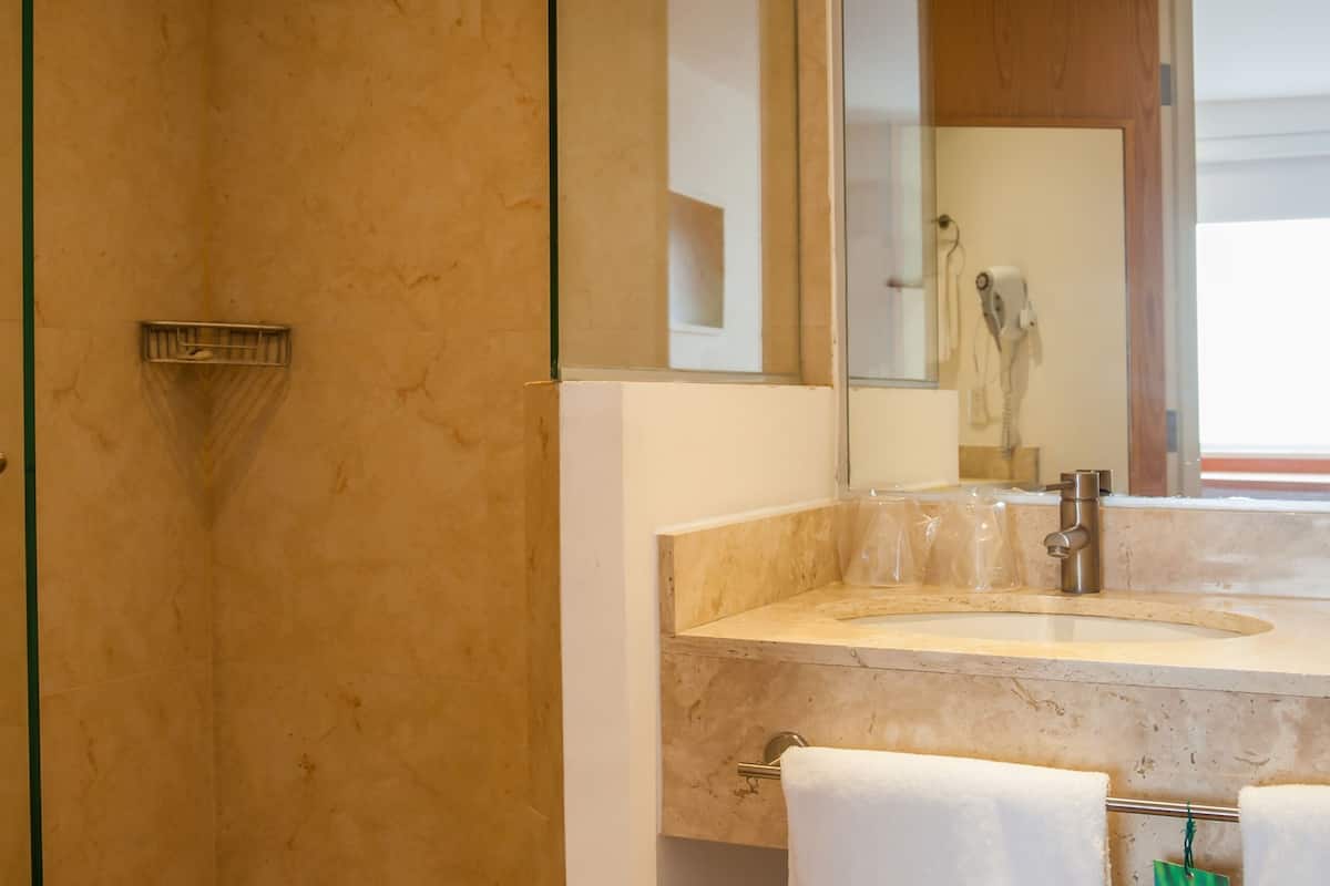 shower, free toiletries, hair dryer, towels