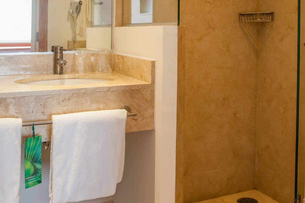 shower, free toiletries, hair dryer, towels