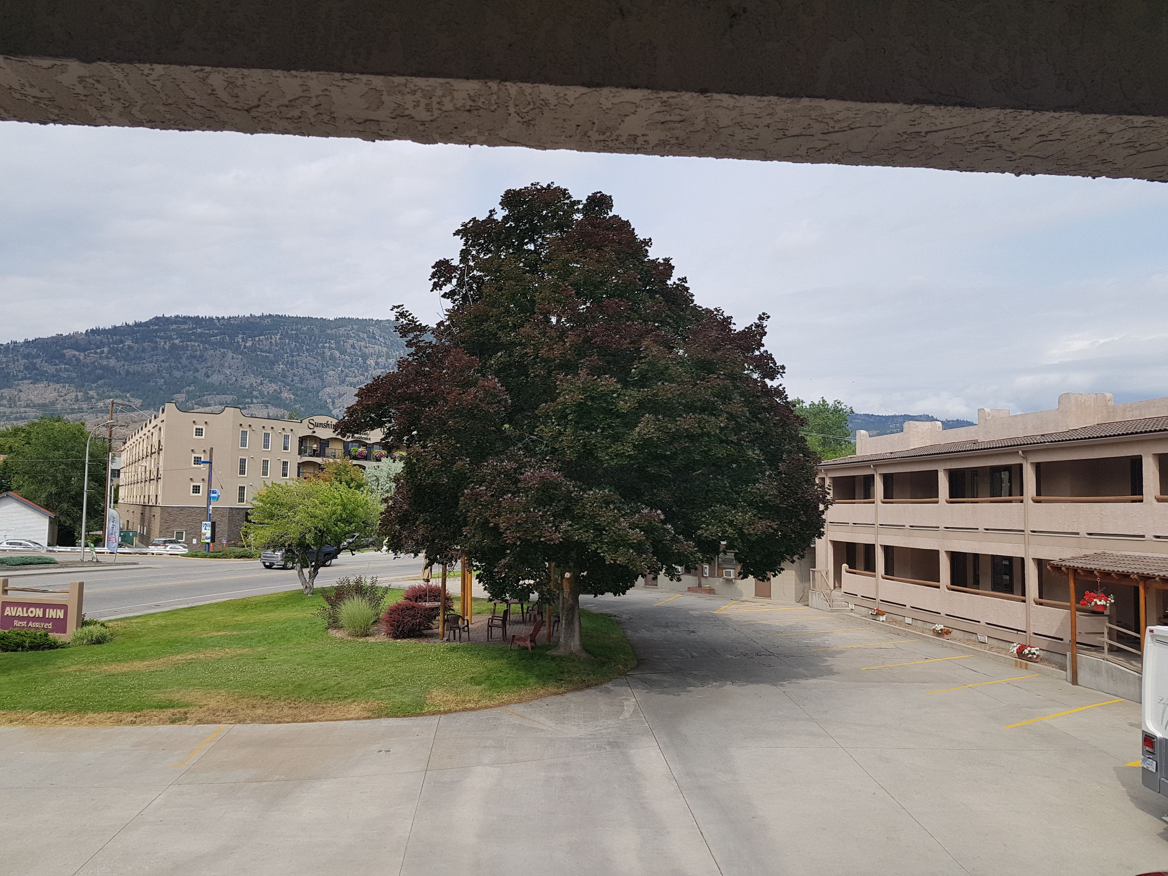 A parking lot with a large tree, a building labeled "Avalon Inn," and a mountainous backdrop.