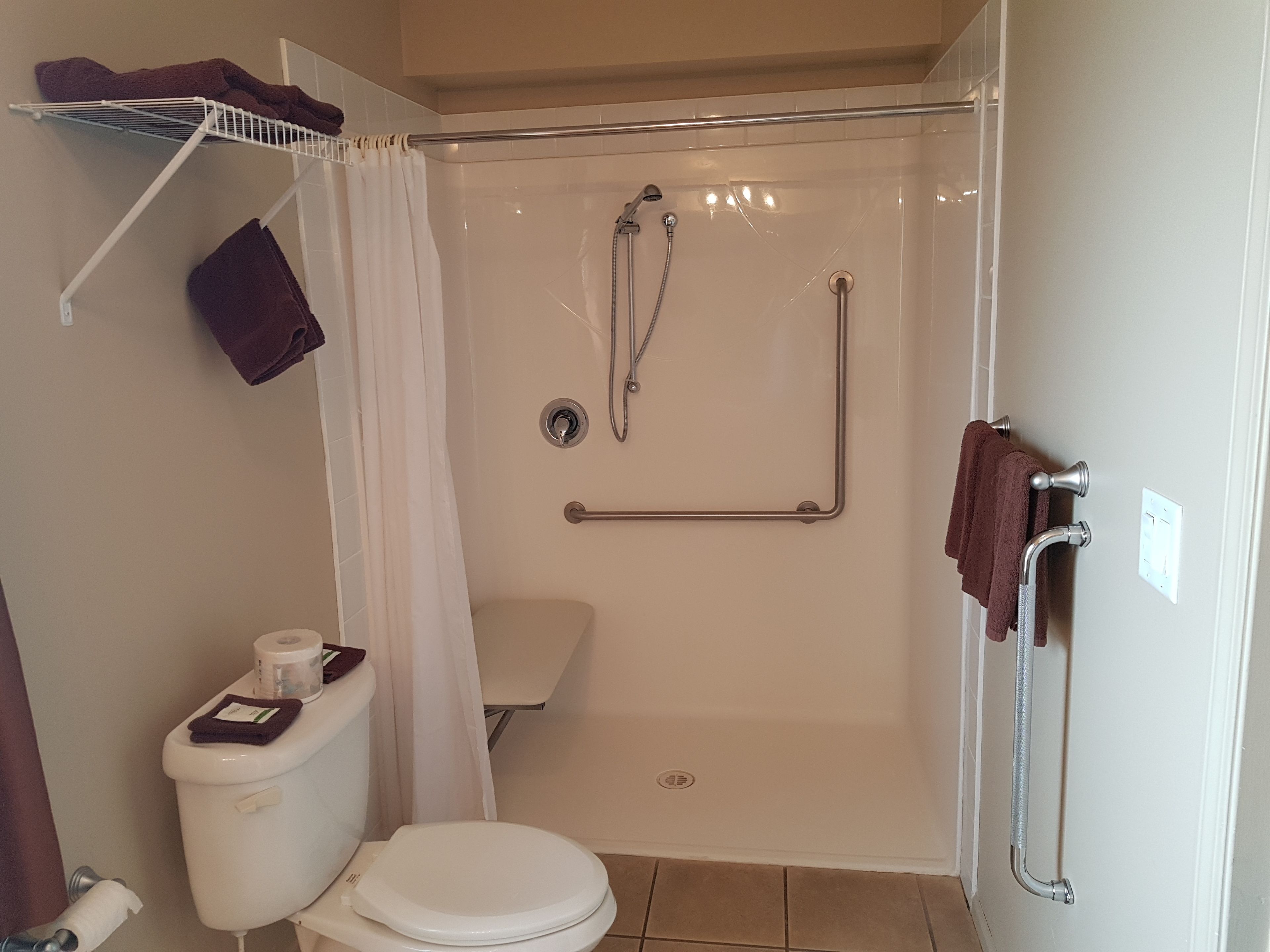 Baño con ducha, inodoro y barras de apoyo.