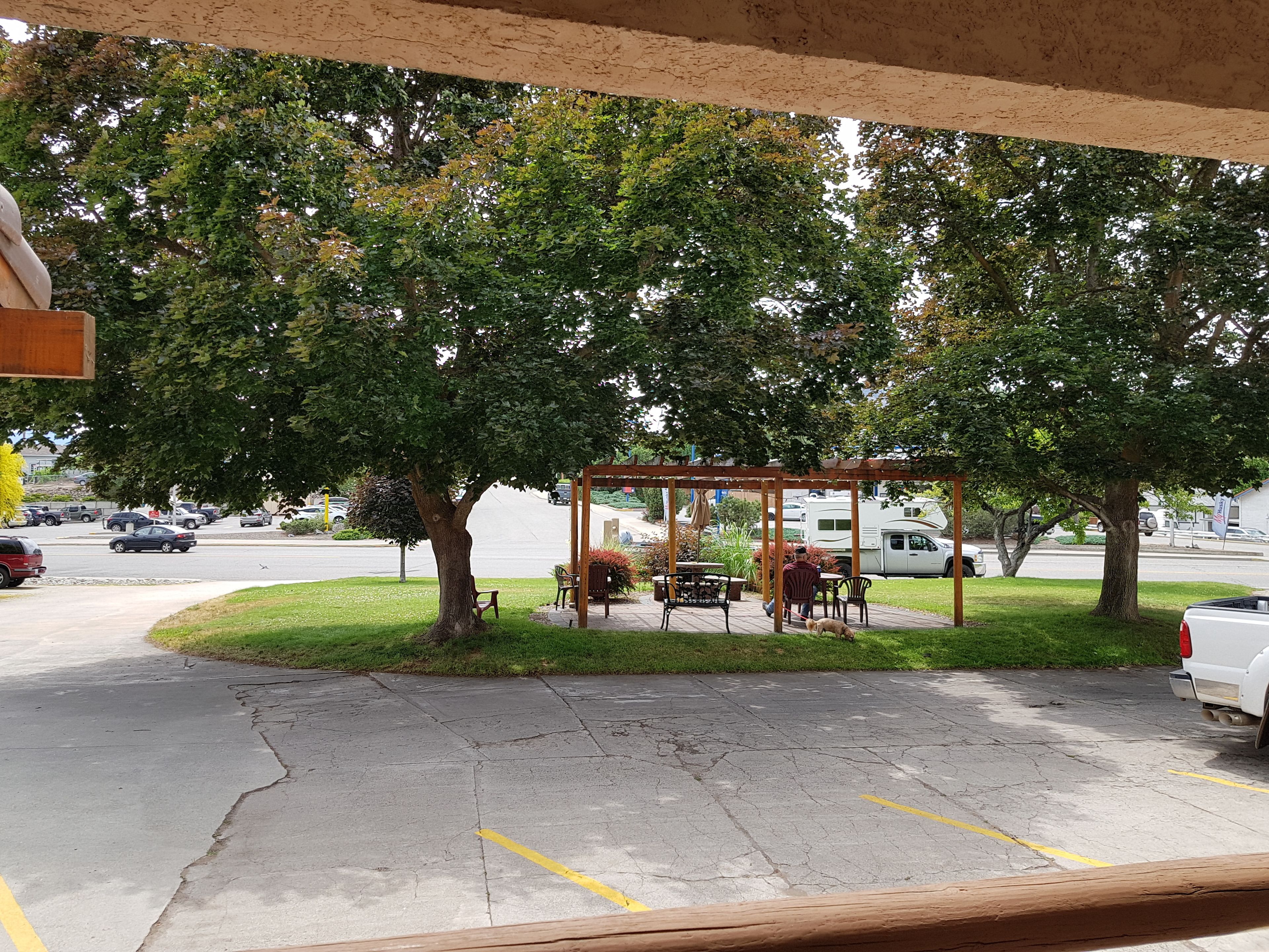 A covered outdoor seating area with tables and chairs, surrounded by trees.