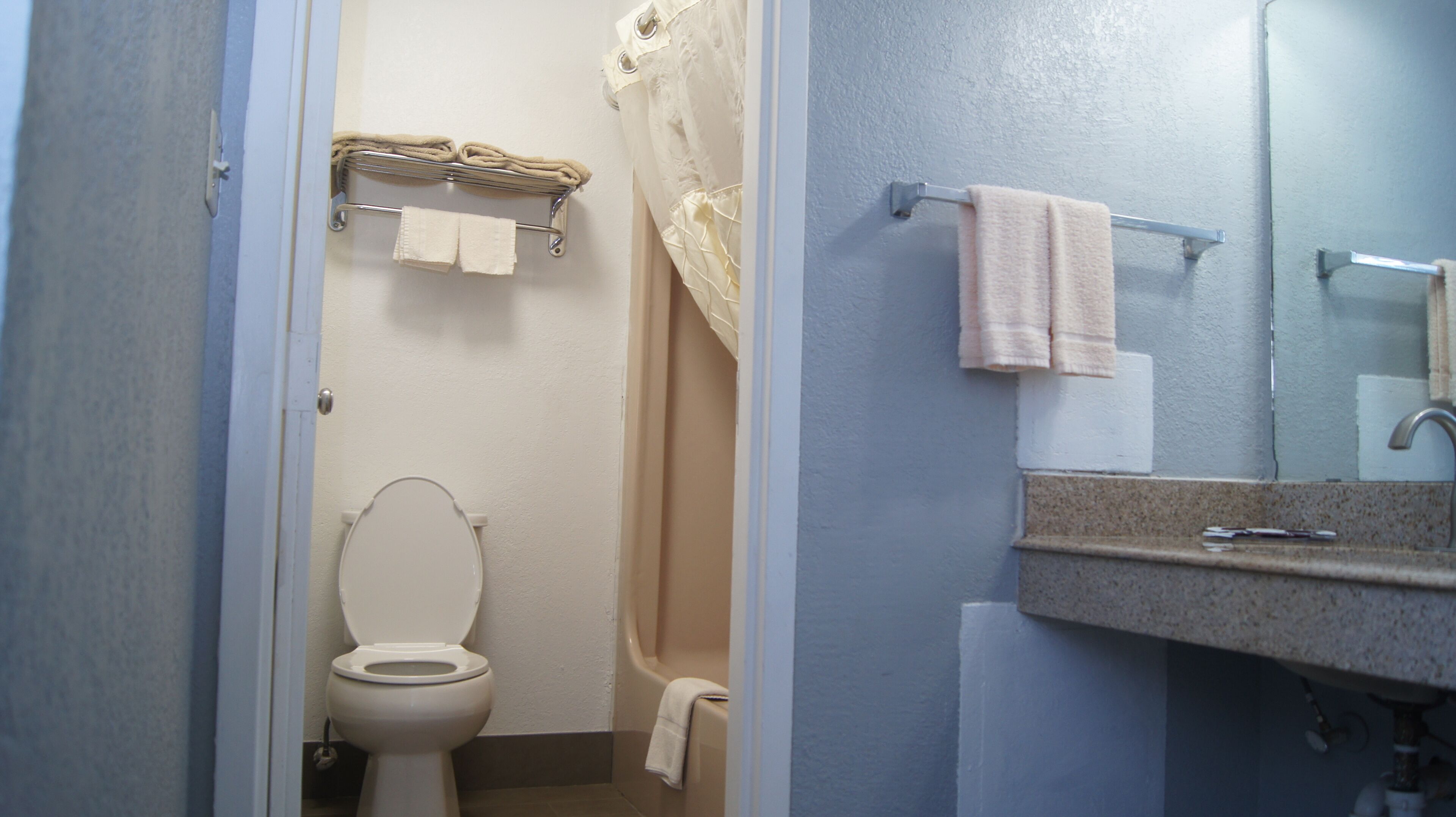 A bathroom with a toilet, a sink, and a shower area.