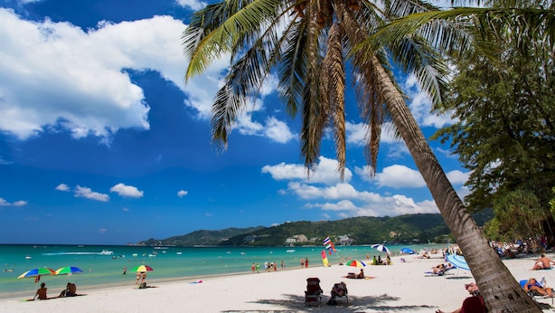 Una playa con palmeras, cielo azul claro y gente relajándose en la arena.