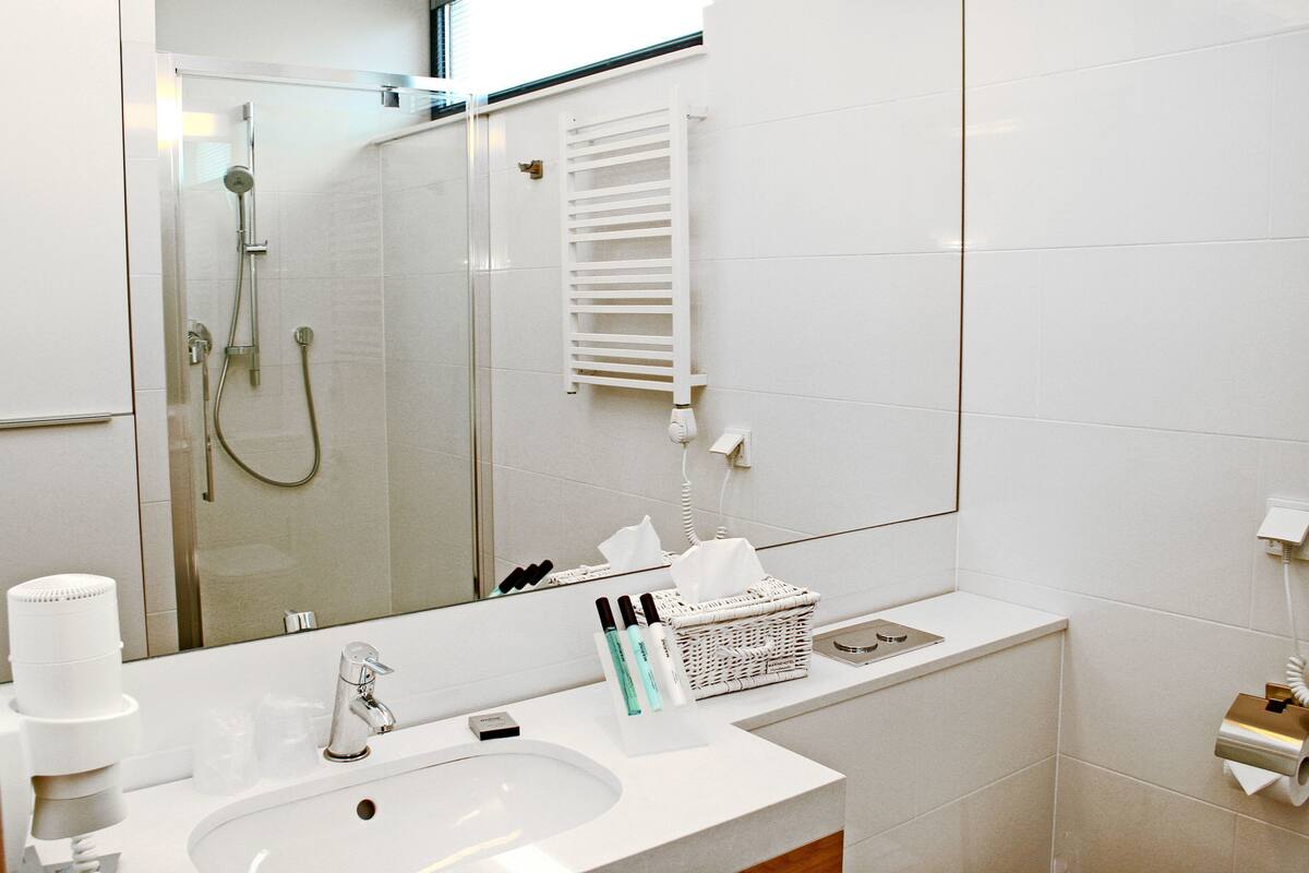shower, free toiletries, hair dryer, towels